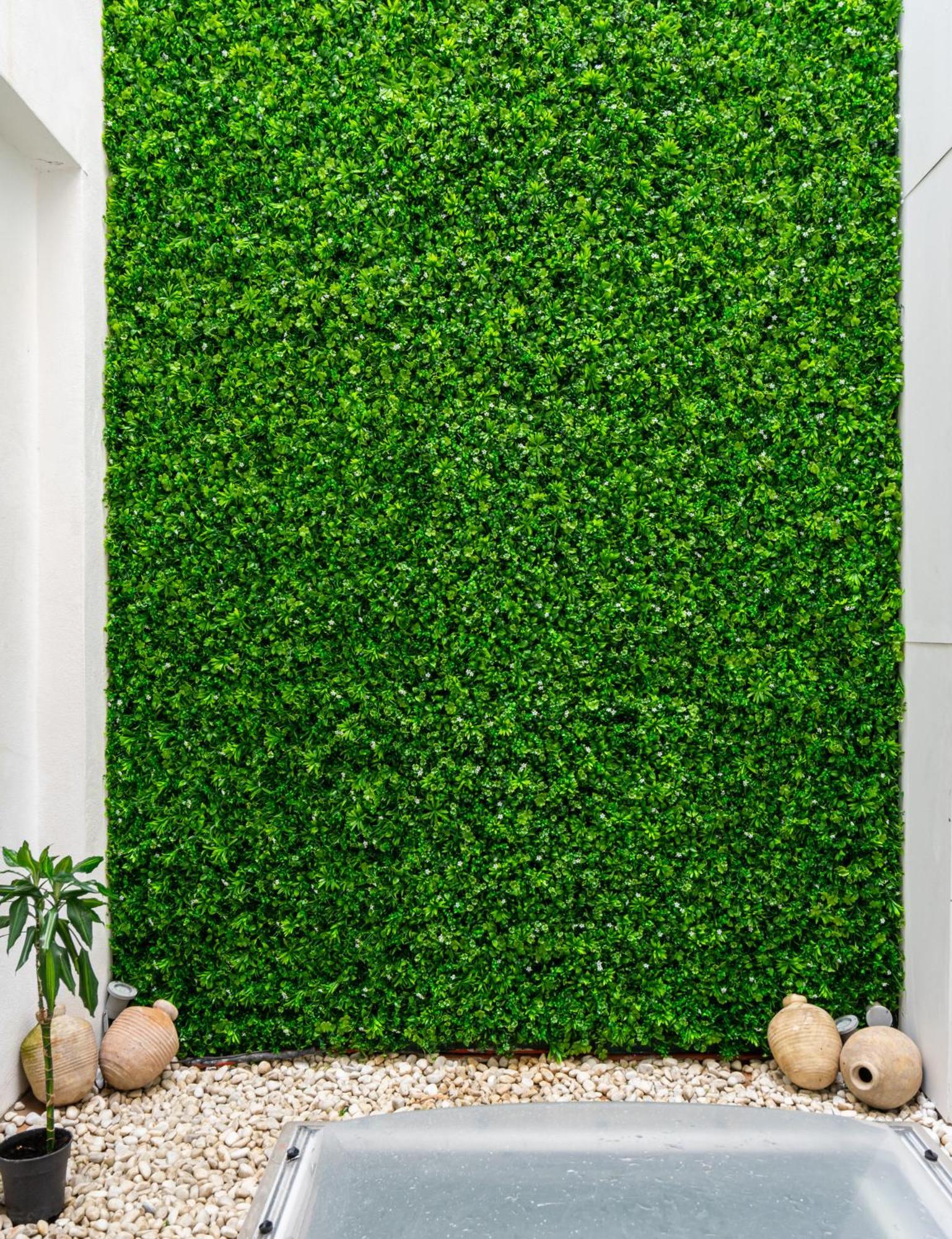Dolium Appartement